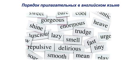 Порядок прилагательных в словосочетании: перед и после существительного