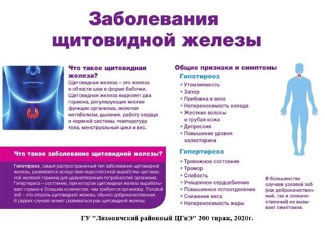 Последствия и возможные проблемы при уровне гормона щитовидной железы выше нормы у женщин
