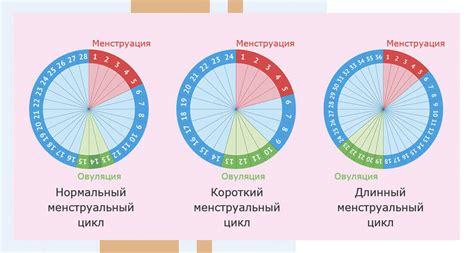 Последствия нарушения менструального цикла в результате приема антибиотиков