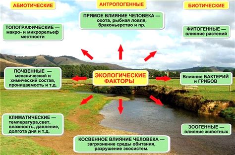 Последствия неполноты обслуживания и влияние на функционирование обогревательного резервуара