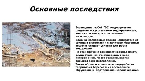 Последствия обеднения водорослей