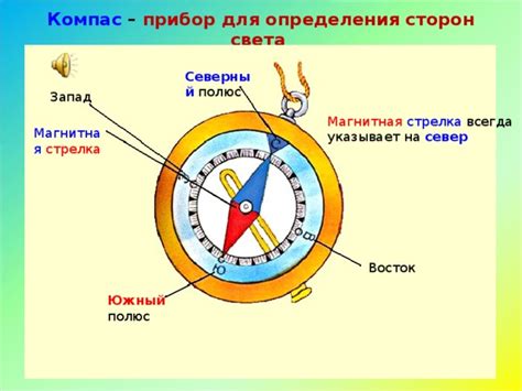 Постоянное расположение географических линий на поверхности Земли