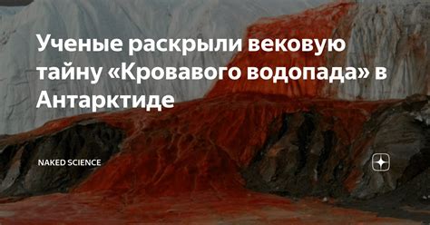 Потайные уголки мира: открываем тайну кровавого алтаря в Террарии