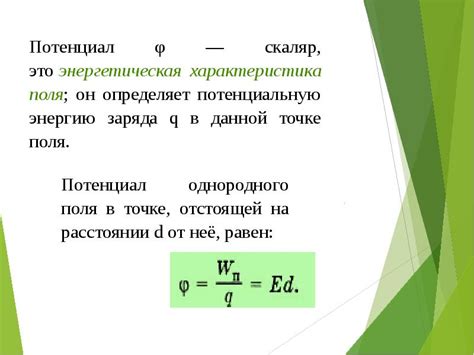 Потенциальная связь между поведением чаек и столкновениями