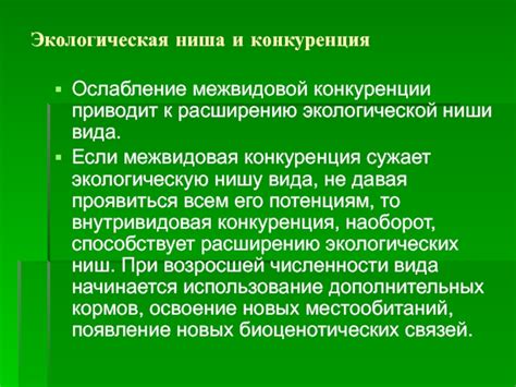 Потенциальные неблагоприятные последствия избыточной конкуренции в пространстве экологической ниши