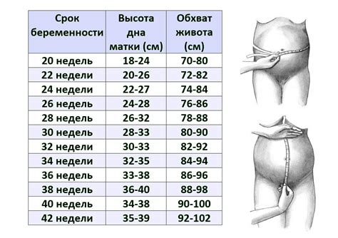 Потенциальные опасности неправильной обработки овощей во время беременности