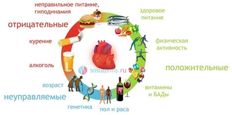 Потенциальные последствия: здоровье и комфорт