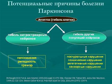 Потенциальные причины