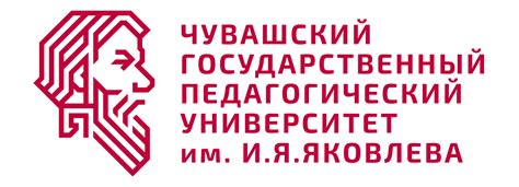 Потенциал развития деятельности волонтеров в сфере культурных организаций