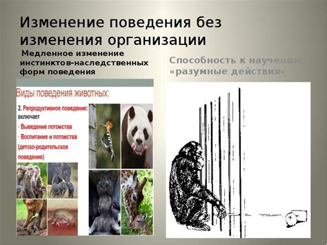 Потеря природных инстинктов и изменение поведения