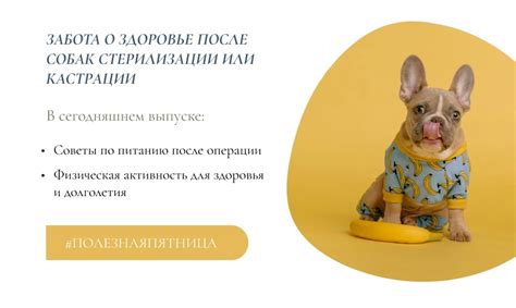 Потребности и забота о сексуальной активности питомца