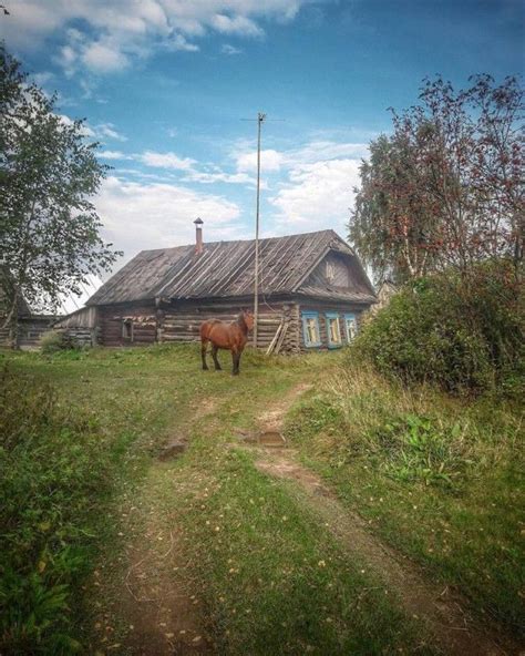 Походы в местные сельские фермы и деревни