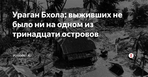 Почему не было выживших: анализ факторов и обстоятельств