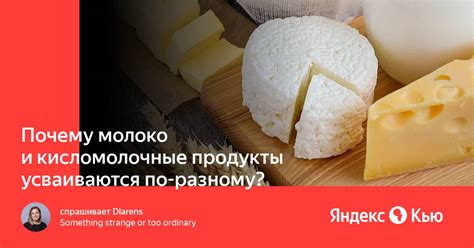 Почему стоит добавлять кисломолочные продукты в пироги: великолепный вкус и очевидные преимущества