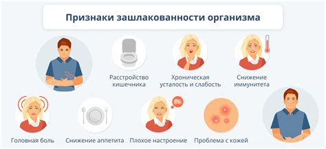 Почки: ключевые органы выведения шлаков и токсинов