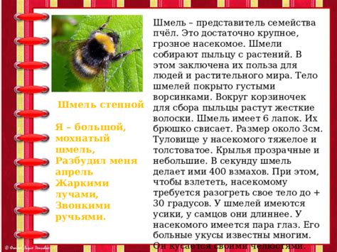 Поэтическое волшебство: шмель и его невидимые крылья