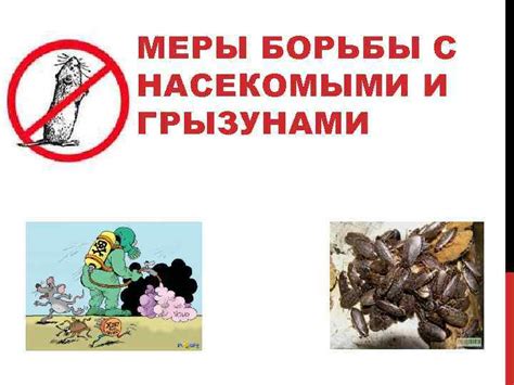Правила использования окраски в борьбе с насекомыми на голове