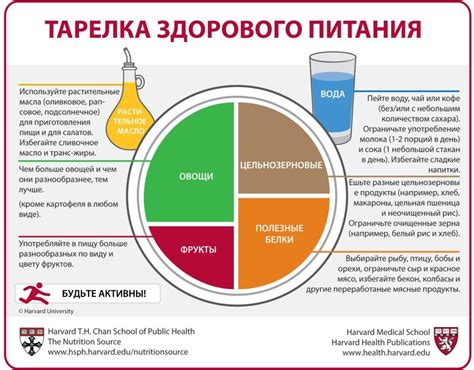 Правила питания в день предоставления образца крови