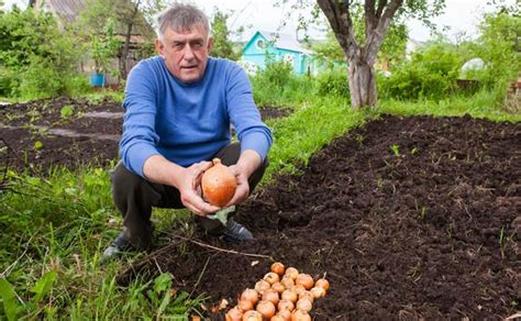 Правила посадки и размещения растений