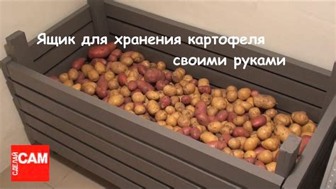 Правила хранения и приготовления свежей картошки для предотвращения возникновения зеленого оттенка