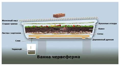 Правильная подготовка борщевика для эффективного компостирования