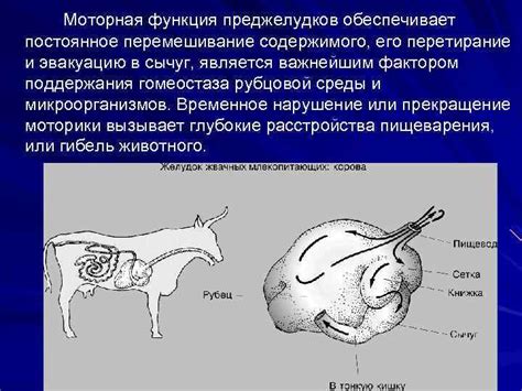 Правильное перемешивание содержимого