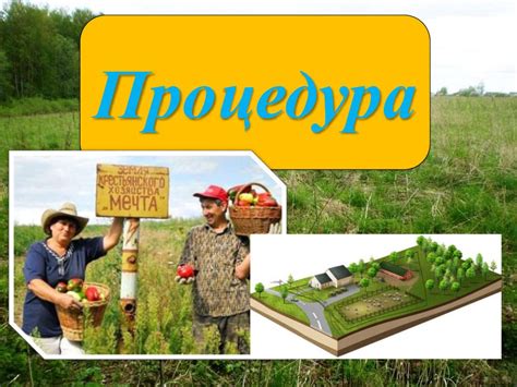 Правовые аспекты передачи земельных участков из садоводческих товариществ в частные хозяйства