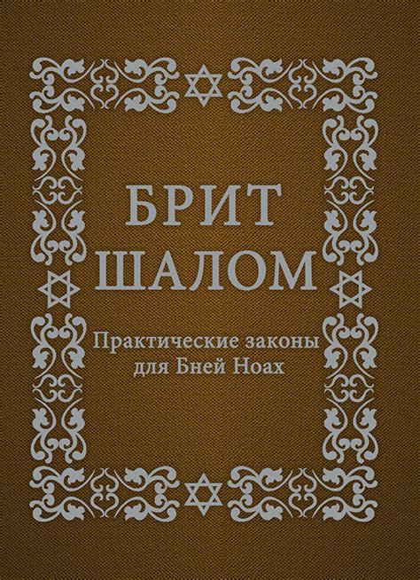 Практические законы использования оплаты "Мир Пей" без НФС