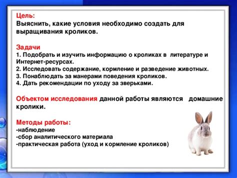 Практические рекомендации: как использовать символику сна о кроликах в повседневной жизни