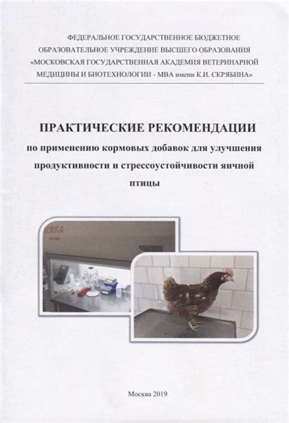 Практические рекомендации для улучшения владения конструкцией, где глагол остается неопределенным