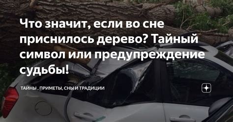 Практическое значение сна о нищете