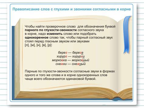 Практическое применение слов с звонкими согласными: примеры использования в русском языке