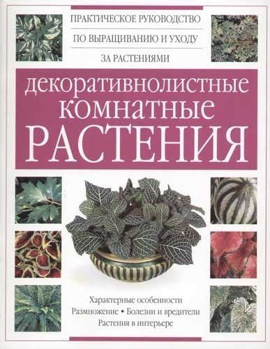 Практическое руководство по сохранению и уходу за цветочным медвежонком