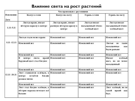 Предотвращаем негативное воздействие на рост и развитие колеуса