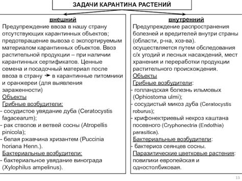 Предотвращение заражения и распространения болезней