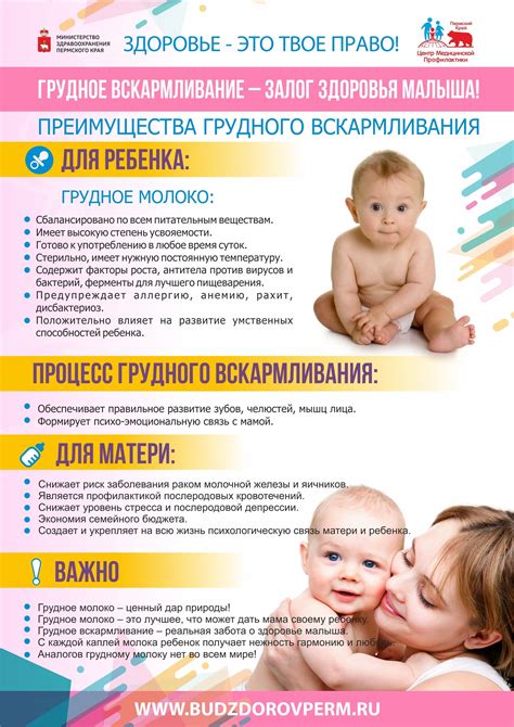 Предполагаемые риски и польза употребления гематогена во время грудного вскармливания