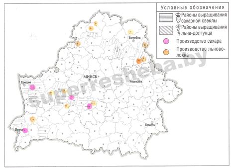 Предпочитаемые районы выращивания ананасов и особенности их выращивания