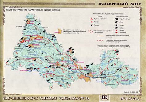 Предпочтительные территории для обитания медведей в горных районах Удмуртии