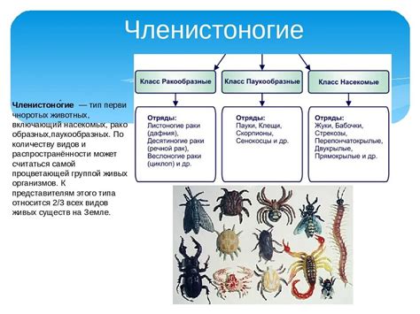 Представители королевства Биология