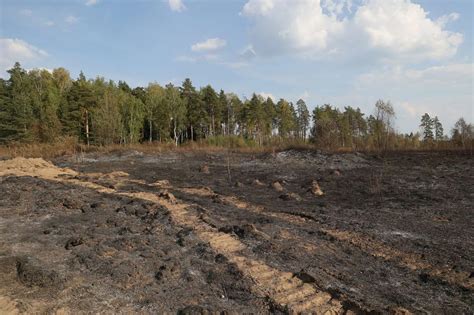 Предупреждение новых пожаров в Балашихе: какие меры принимаются