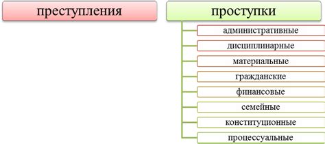 Предыдущие правонарушения и конфликты с законом