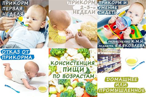 Преимущества введения питательных дополнительных продуктов в рацион ребенка в возрасте 6 месяцев