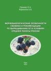 Преимущества выращивания морошки в условиях средней полосы России