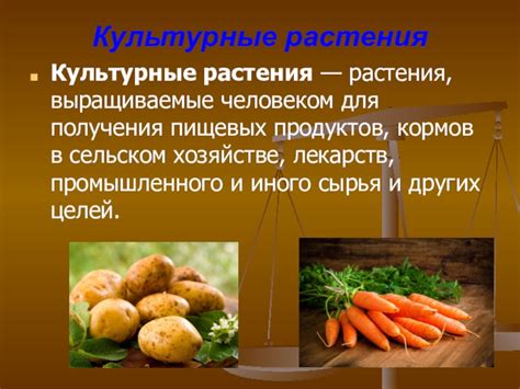 Преимущества использования паровых насосов для орошения культурных растений в сельском хозяйстве