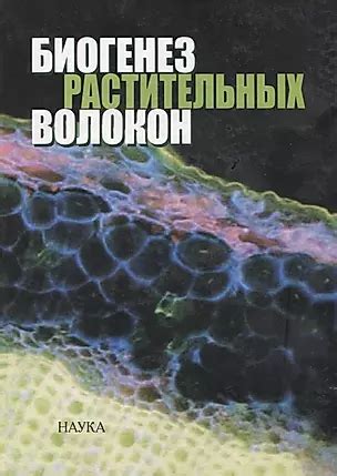 Преимущества использования растительных волокон в качестве оболочки для колбасы