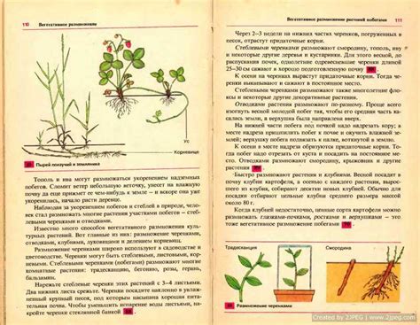 Преимущества и недостатки данного метода, а также пошаговая инструкция