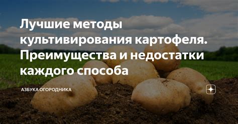 Преимущества и недостатки каждого способа обмена валюты