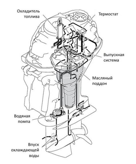 Преимущества и недостатки передних позиций вентиляционной системы лодочного мотора