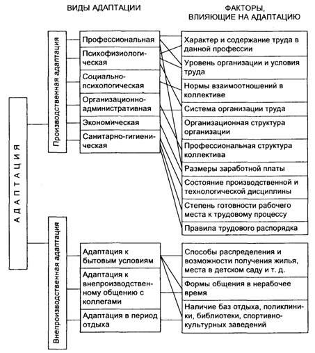 Преимущества и уникальные черты адаптации