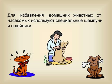 Преимущества применения окрашивания волос вместо других методов борьбы с насекомыми